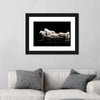 White Wolves Wall Art