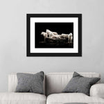 White Wolves Wall Art
