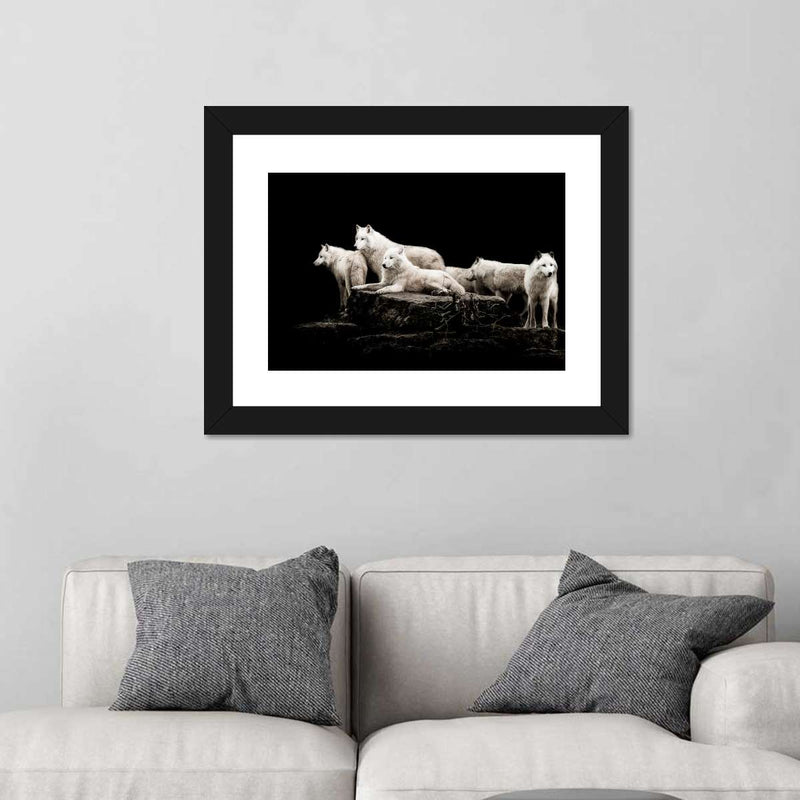 White Wolves Wall Art