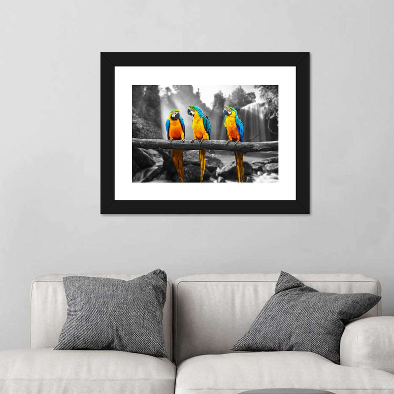 Macaw Friends Pop Wall Art