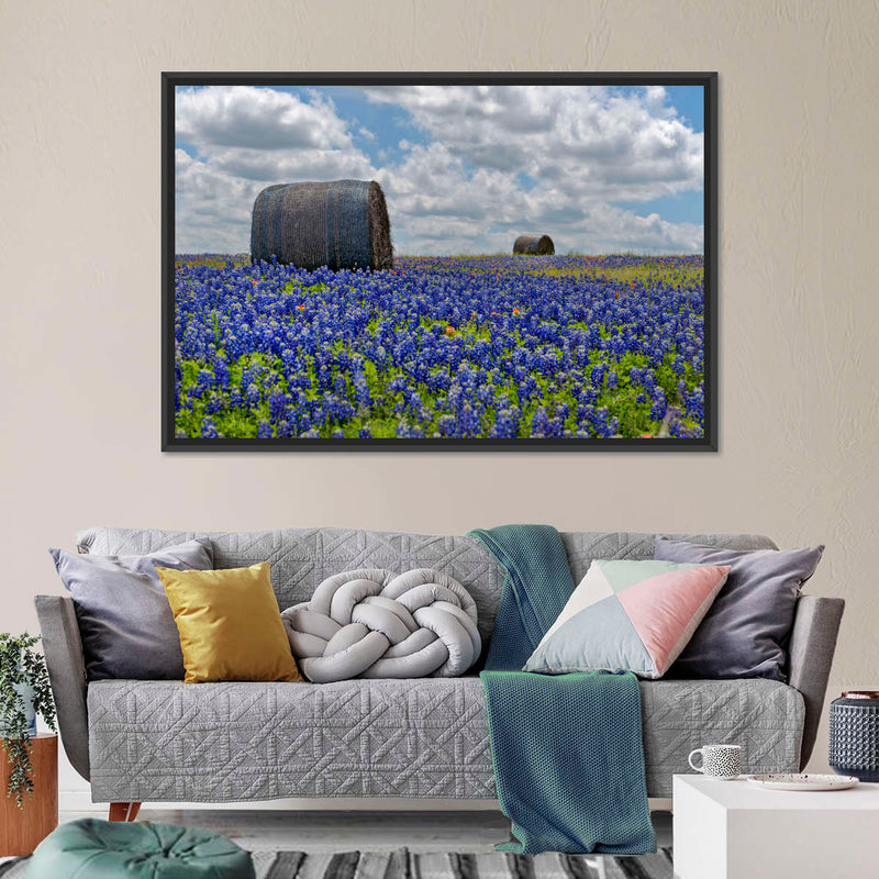 Texas Bluebonnets Wall Art