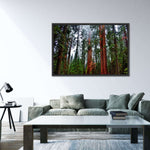 Vibrant Redwood Wall Art