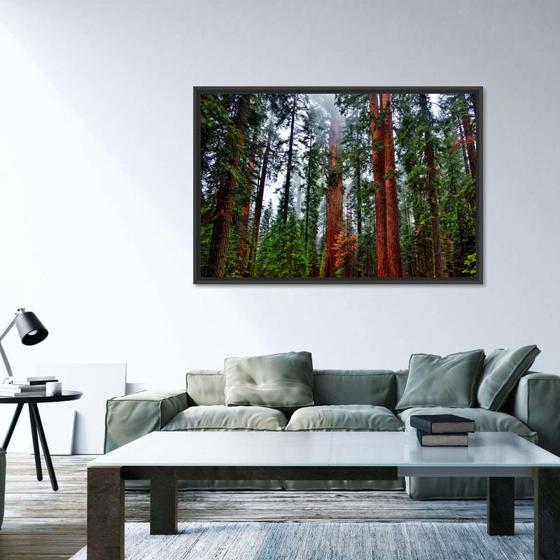 Vibrant Redwood Wall Art