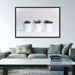 Three Succulents Wall Art
