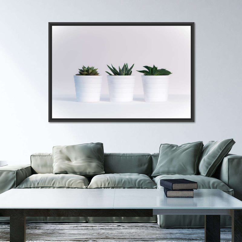 Three Succulents Wall Art