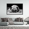 Sad Pug Wall Art