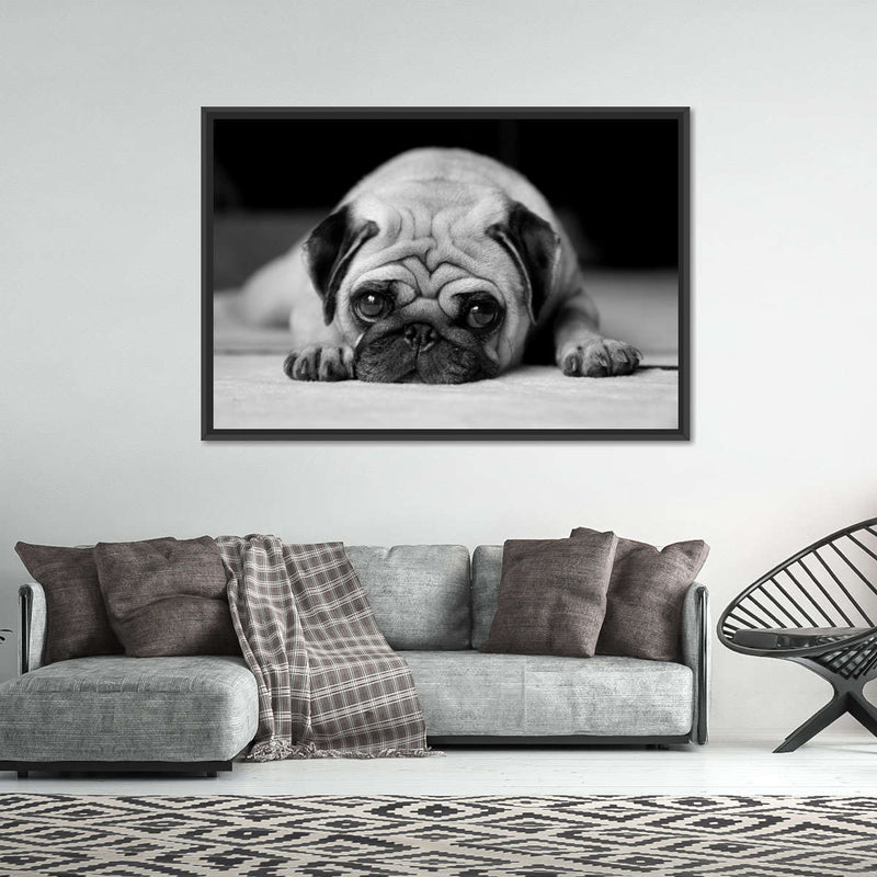 Sad Pug Wall Art