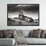 Lioness Wall Art