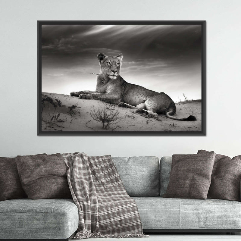 Lioness Wall Art