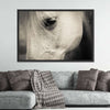 White Horse Eye Wall Art