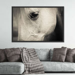 White Horse Eye Wall Art