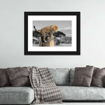 Pop African Leopard Wall Art