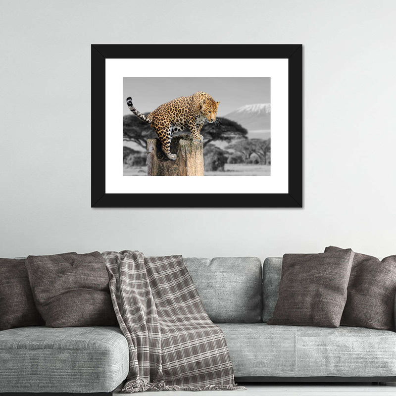 Pop African Leopard Wall Art