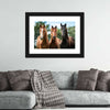 Young Horses Wall Art