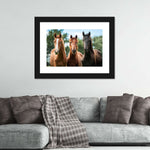 Young Horses Wall Art