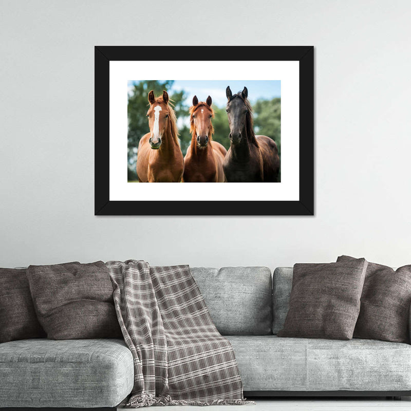 Young Horses Wall Art