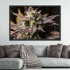 Marijuana In Winter Wall Art