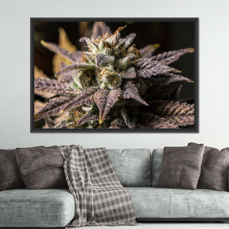 Marijuana In Winter Wall Art
