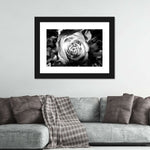 Monochromatic Rose Wall Art
