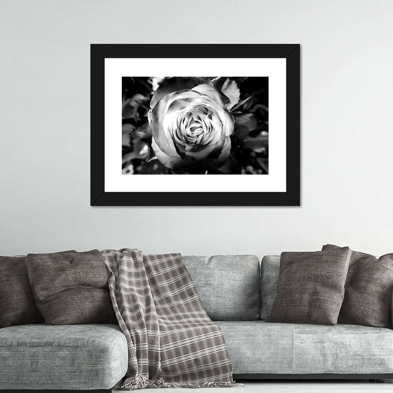 Monochromatic Rose Wall Art