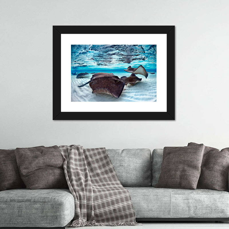 Stingrays Sea Life Wall Art