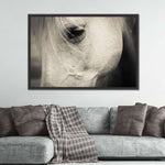 White Horse Eye Wall Art