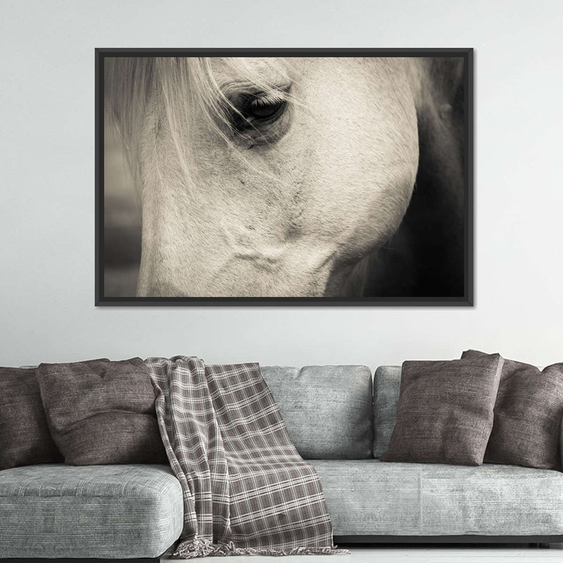 White Horse Eye Wall Art