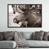 Moose Head Wall Art