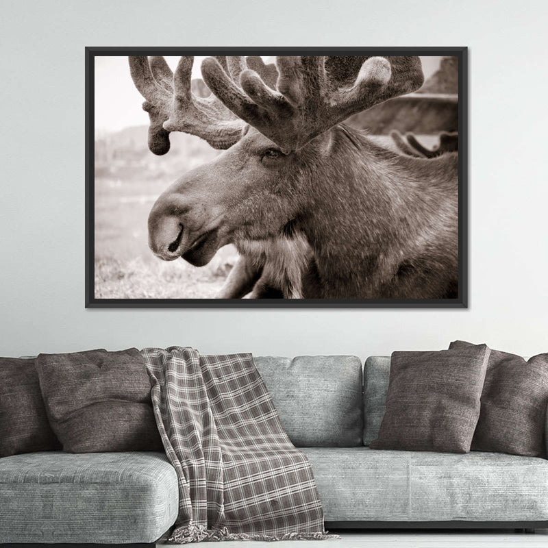Moose Head Wall Art