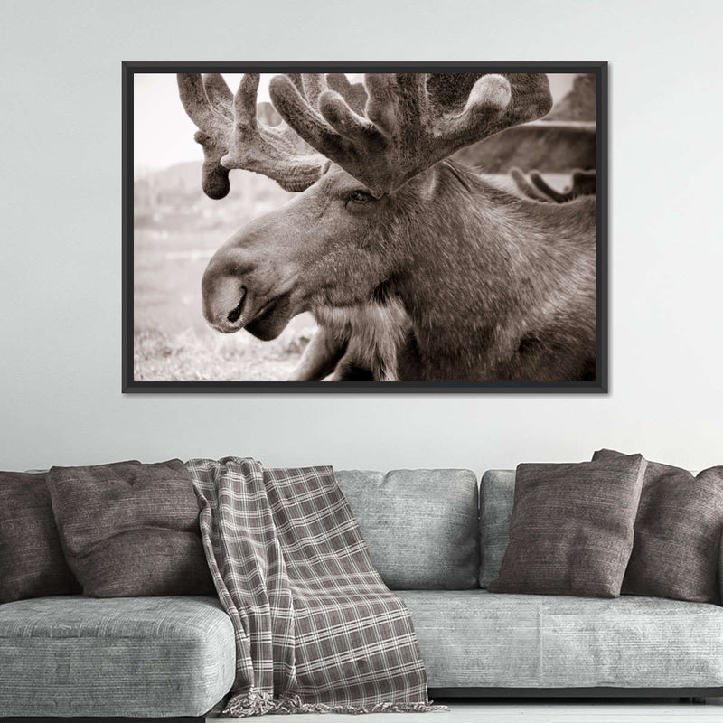 Moose Head Wall Art