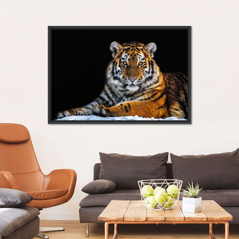 Tiger Snapshot Wall Art