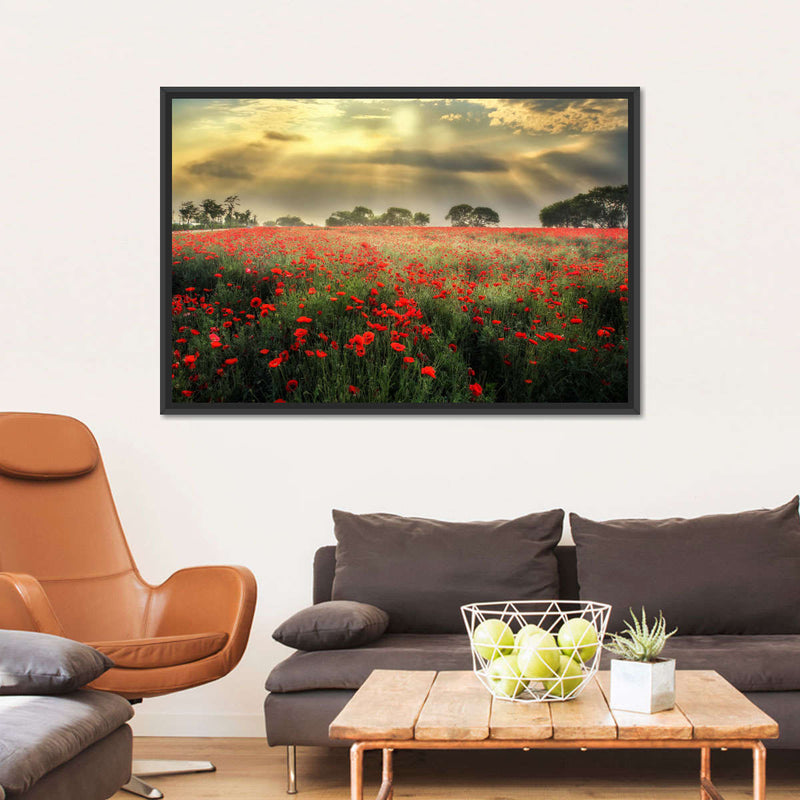Scandinavian Poppy Field Wall Art