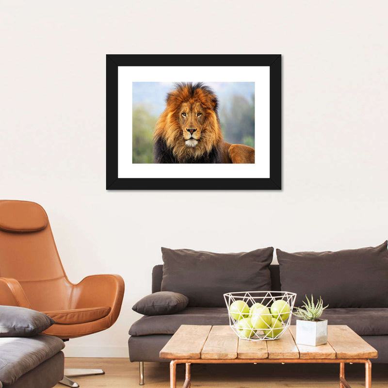 Proud Lion Wall Art