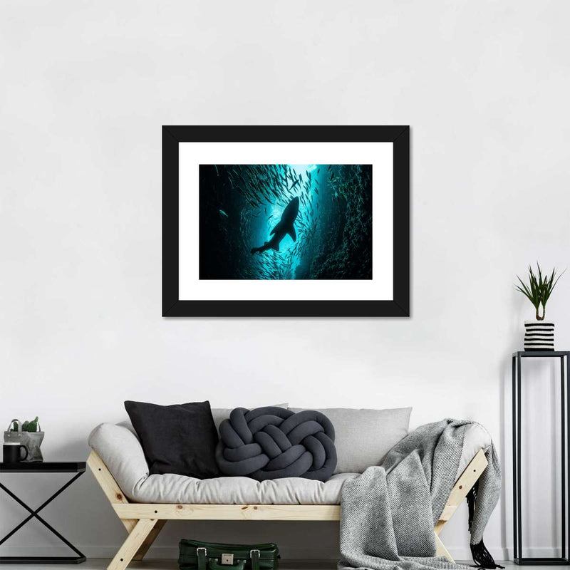 Shark Depth Wall Art