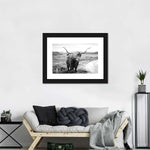 Highland Bull Wall Art