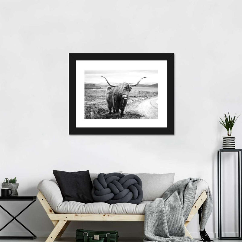 Highland Bull Wall Art