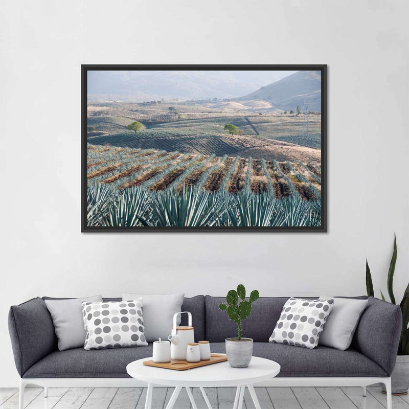 Tequila Jalisco Agave Field Wall Art