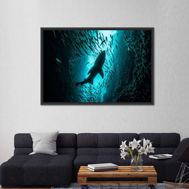 Shark Depth Wall Art