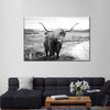 Highland Bull Wall Art