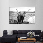 Highland Bull Wall Art