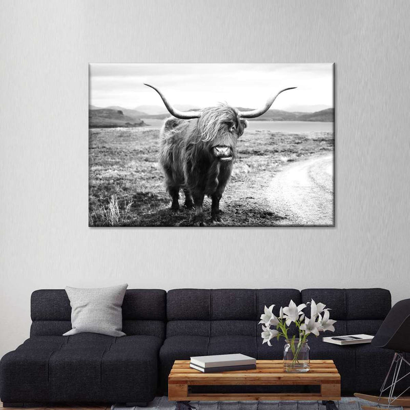 Highland Bull Wall Art