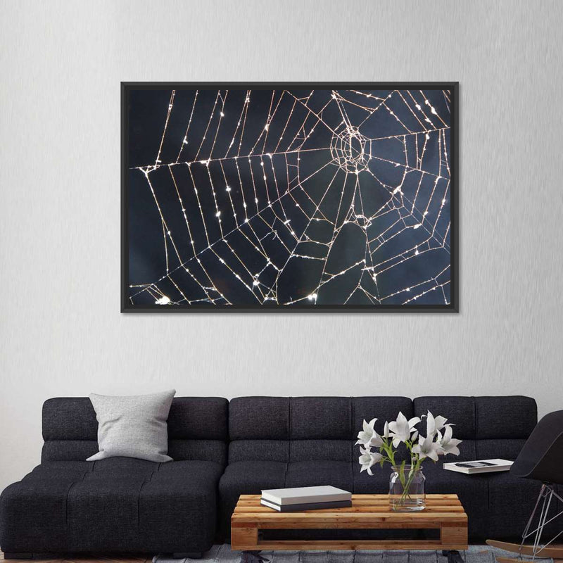 Spider Web Wall Art