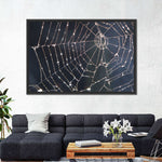 Spider Web Wall Art
