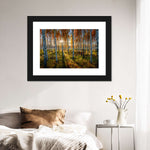 Swedish Birch Forest Wall Art