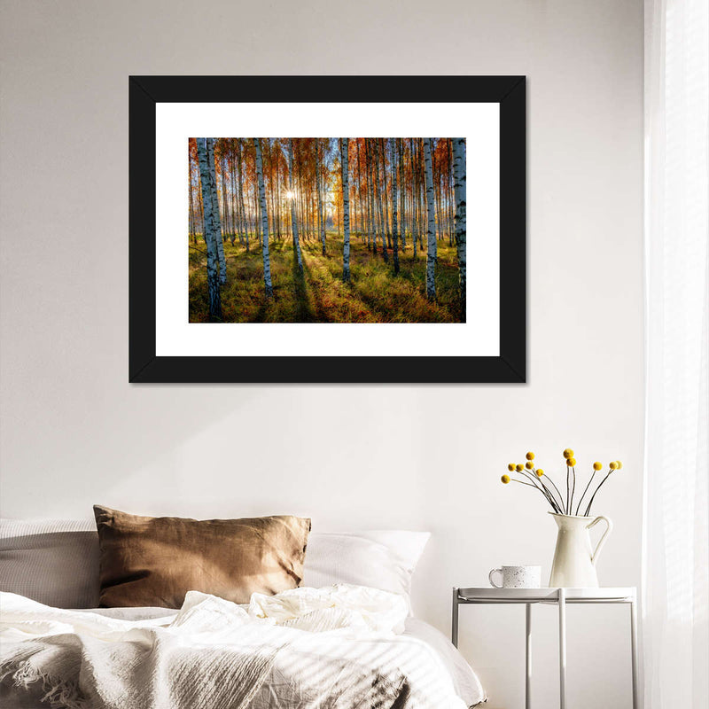 Swedish Birch Forest Wall Art