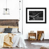 Texas Longhorn Cattle Wall Art