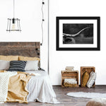 Texas Longhorn Cattle Wall Art