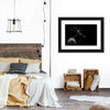 Monochrome Bull Elk Wall Art