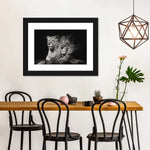 Lion And Lioness Mates Wall Art
