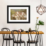 Stunned Sheep Wall Art